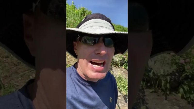 Excerpt Everything Matters Wbur - Download Ultra HD Sunset Illustration | Desktop