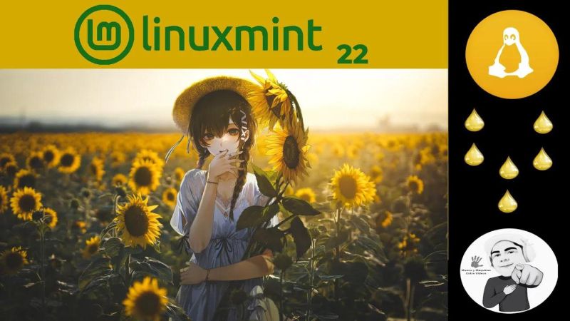 Linux Mint 22 Wilma Released Opensourcefeed - Best Light Arts in HD