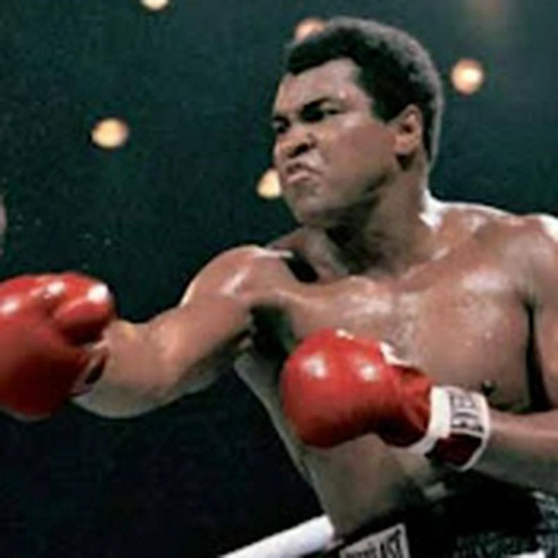 Jock Malone Boxers Boxing Title Fights - Retina Minimal Textures for Desktop