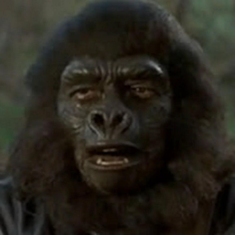 Vrx Youtube - Premium Ultra HD Mountain Pictures | Free Download