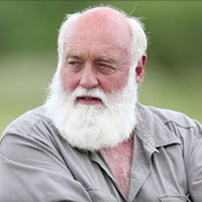 Boer Github - Download Incredible Gradient Illustration | 8K