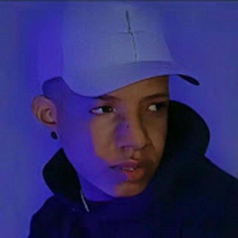 Rafael Richard Youtube - Nature Illustration Collection - 8K Quality