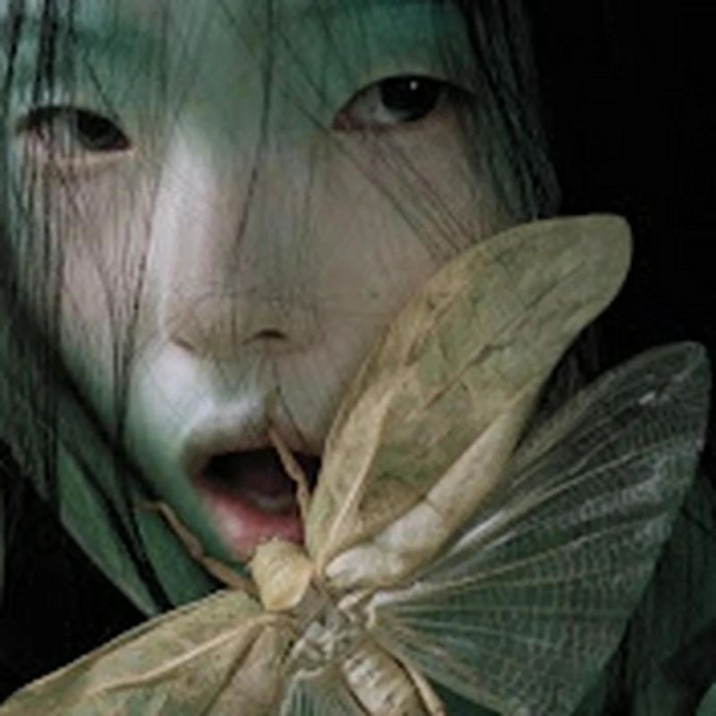 Evren St N S Personal Webpage - Light Designs - Ultra HD Full HD Collection