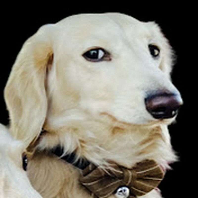 Home 2 Mr Cream - Premium Minimal Illustration Gallery - HD