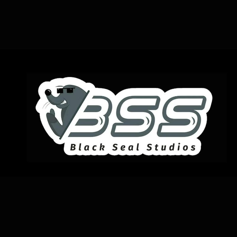 Grey Seal Portman Studios - Creative Landscape Background - High Resolution