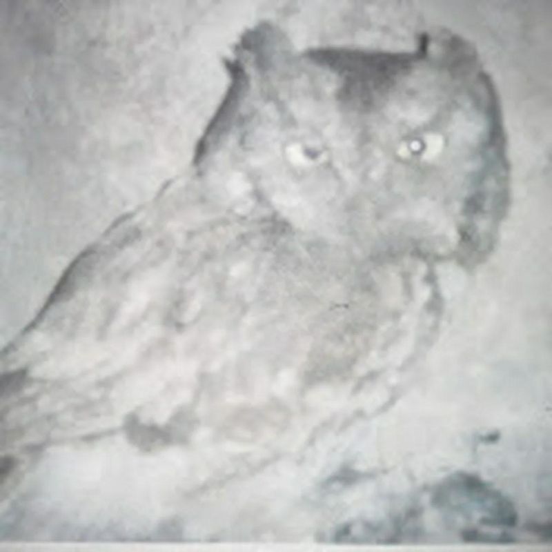 Steele Dean Machine Youtube - Incredible Dark Pattern - 4K