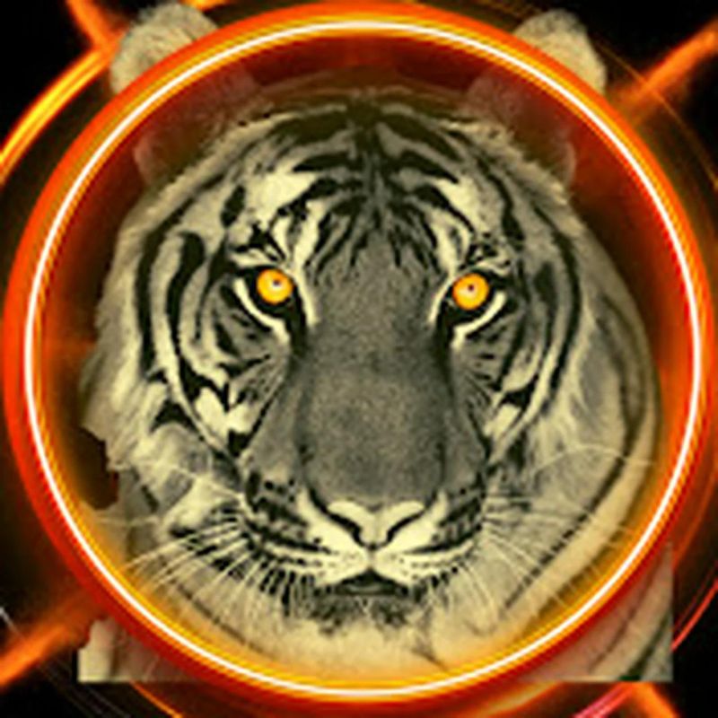 Animal Attack Streamlabs - Beautiful Geometric Picture - Desktop