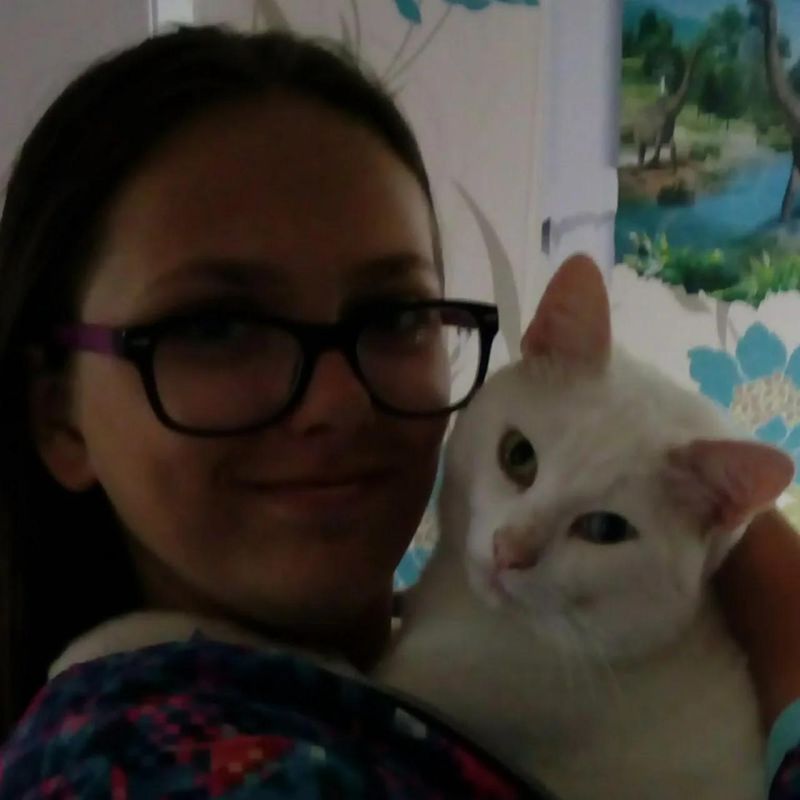 Kitten Power Youtube - Premium 4K Vintage Backgrounds | Free Download