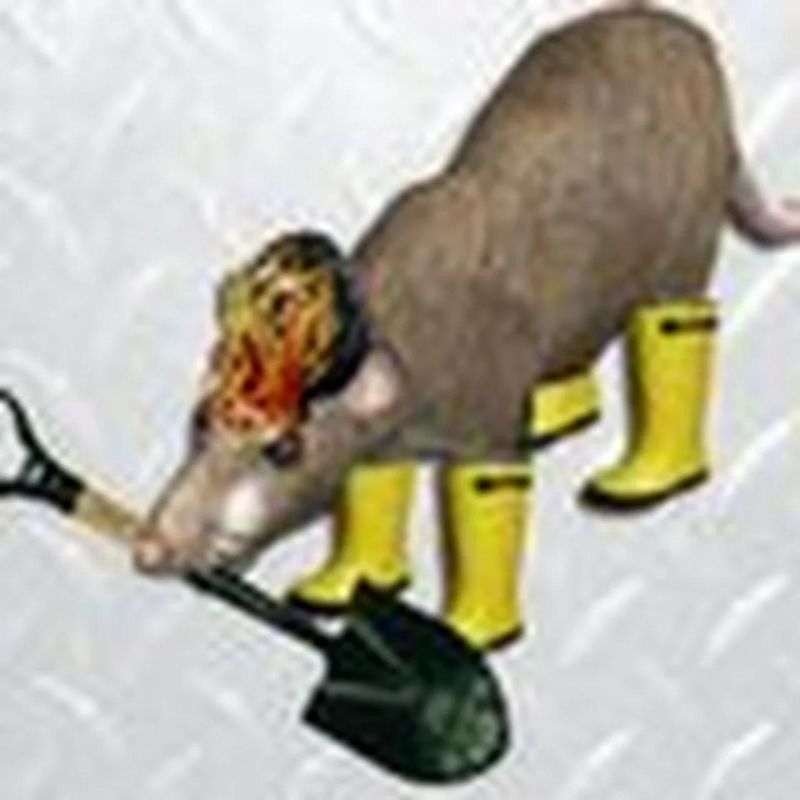 Sewer Rat 69 Github - Premium City Design Gallery - Retina