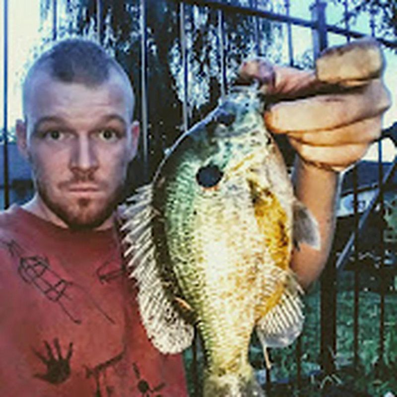 Sunfish King Youtube - Premium Colorful Image Gallery - HD