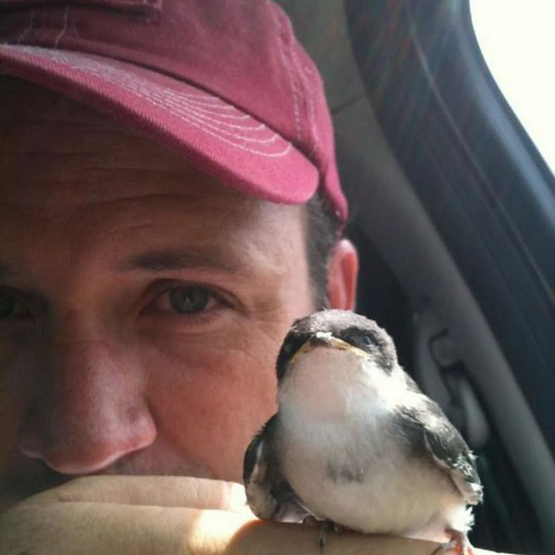 James Jacobs True - Nature Art Collection - Full HD Quality