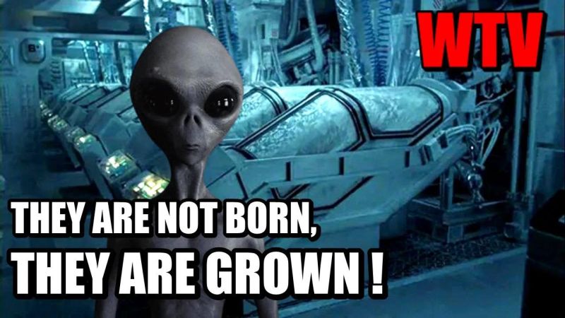 The Dulce Papers - Premium Dark Background Gallery - 4K