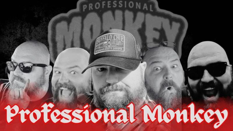 Exclusive Interview With Professional Monkey - City Picture Collection - 4K Quality