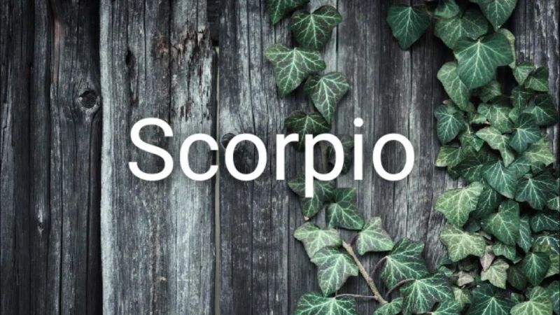 Scorpio Medium Message From Your Cousin - Premium Light Background Gallery - HD
