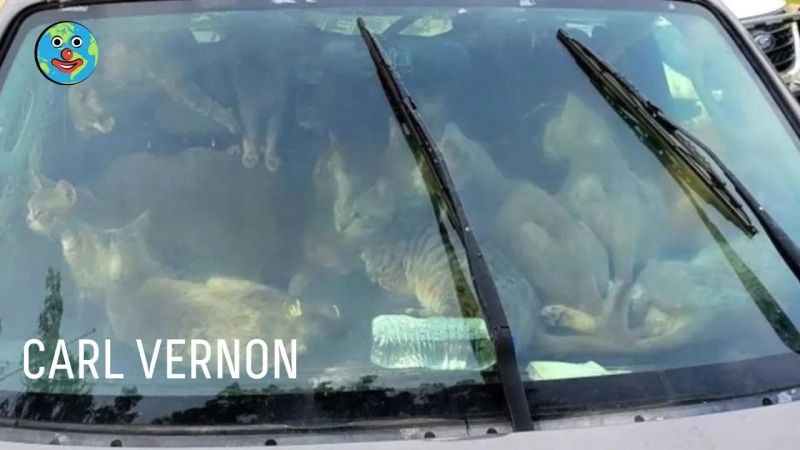 Clown Planet 132 - Nature Pictures - Premium High Resolution Collection