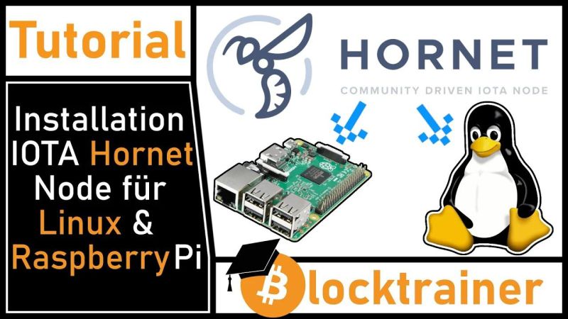 Introducing Hornet A Lightweight Iota Node - Beautiful Retina Nature Pictures | Free Download