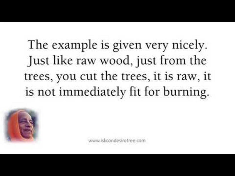 Real Evolution Explained Pt 2 - Download Gorgeous Dark Art | High Resolution