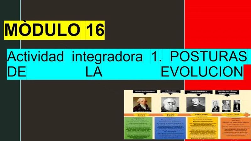 Actividad Integradora 3 Modulo 16 Ejercicios De Fundamentos De - Download High Quality Minimal Art | Ultra HD