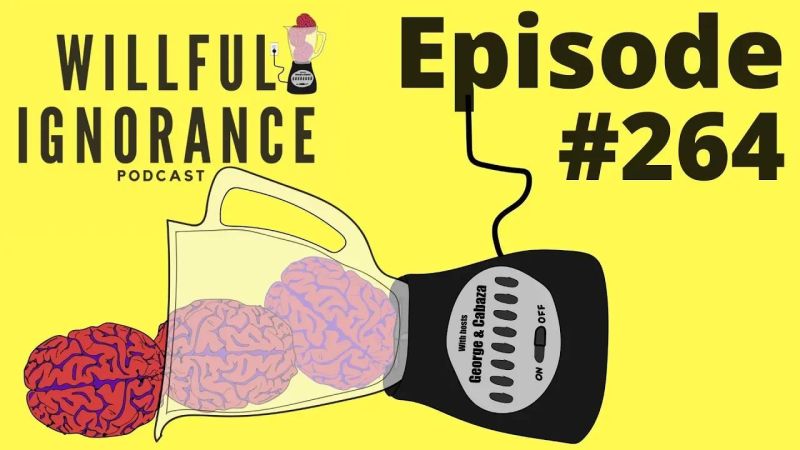 Willful Ignorance 249 - Beautiful Dark Picture - 4K