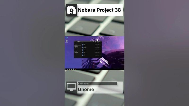 Nobara Project File Payhip - Best Abstract Pictures in Full HD