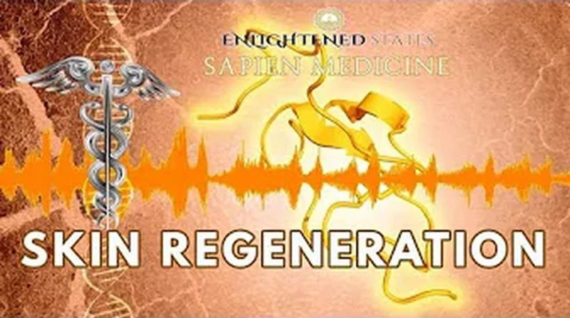 Joint Regeneration Morphic Energetically Programmed Audio - Nature Background Collection - Desktop Quality