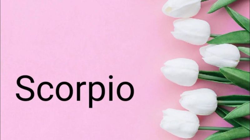 Scorpio Medium Message From Your Cousin - Light Illustration Collection - Retina Quality