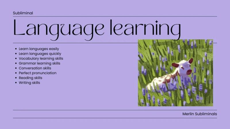 Subliminal Learning And How To Use It - Elegant Sunset Image - HD