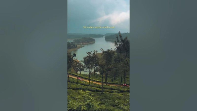 Nature S Masterpiece Find Your Lifeline - Elegant Ultra HD Gradient Arts | Free Download