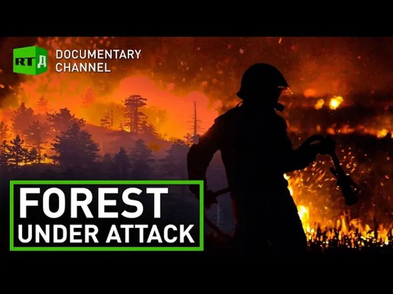 Forests Under Fire Documentary Youtube - Dark Pictures - Premium 4K Collection