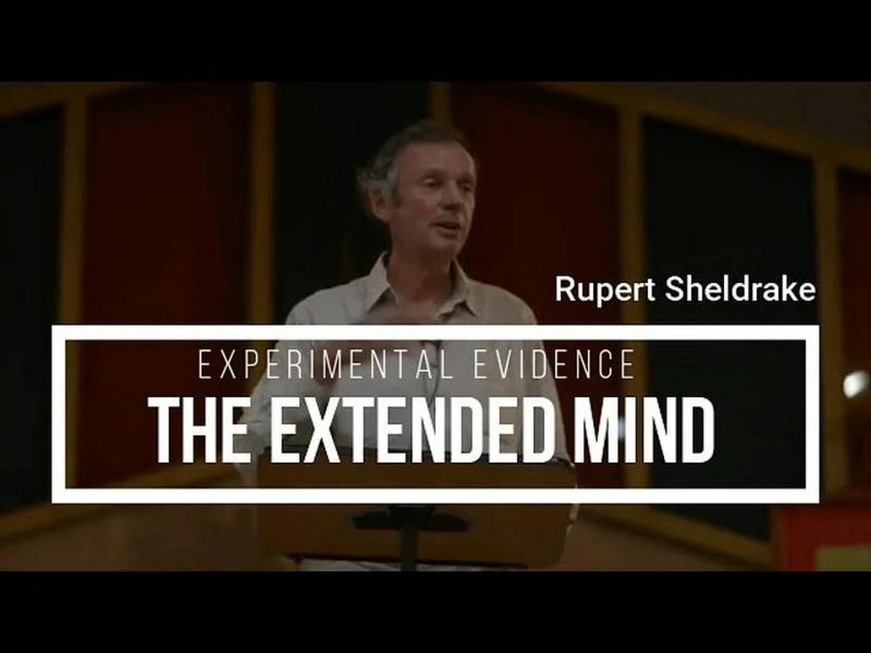 Rupert Sheldrake The Extended Mind - Light Pattern Collection - Desktop Quality