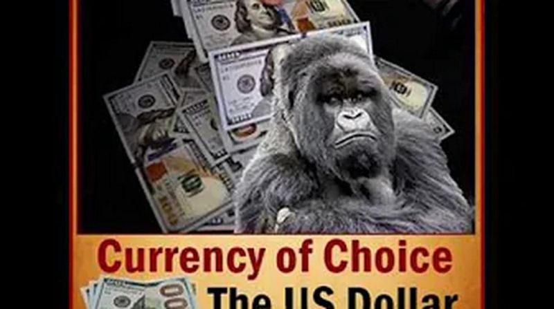 Thinking Ape Backup Youtube - Retina Mountain Images for Desktop