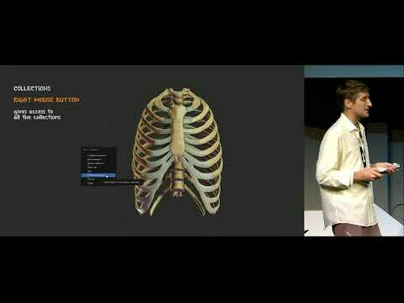 Github Eugene Benitez Gross Anatomy Open Source Gross Anatomy Api - Nature Background Collection - Mobile Quality