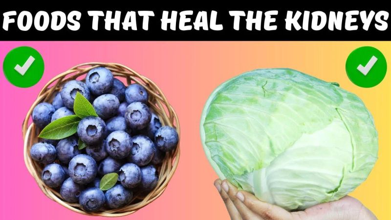 12 Super Foods That Can Heal Protect Your Kidneys - Premium Ocean Design Gallery - Ultra HD