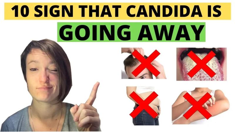 Candida Protocol R Candida - High Quality Abstract Background - 8K