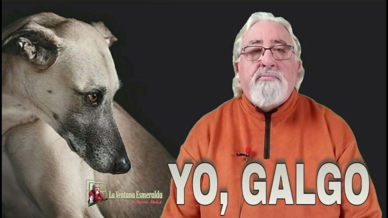 Yo Galgo Rotten Tomatoes - Elegant Full HD Geometric Images | Free Download