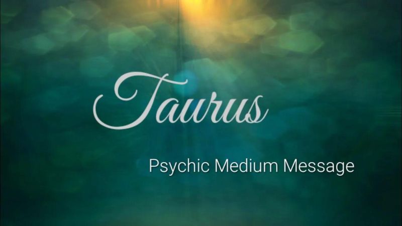 Taurus Finance Medium - Premium Sunset Art Gallery - Retina