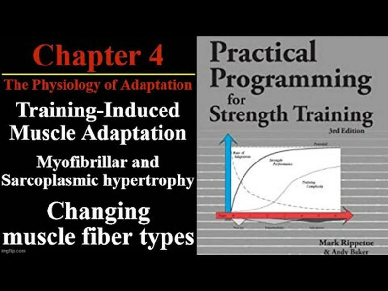 Practical Programming For Strength Training Chapter 5 Flexibility - Download Premium City Background | HD