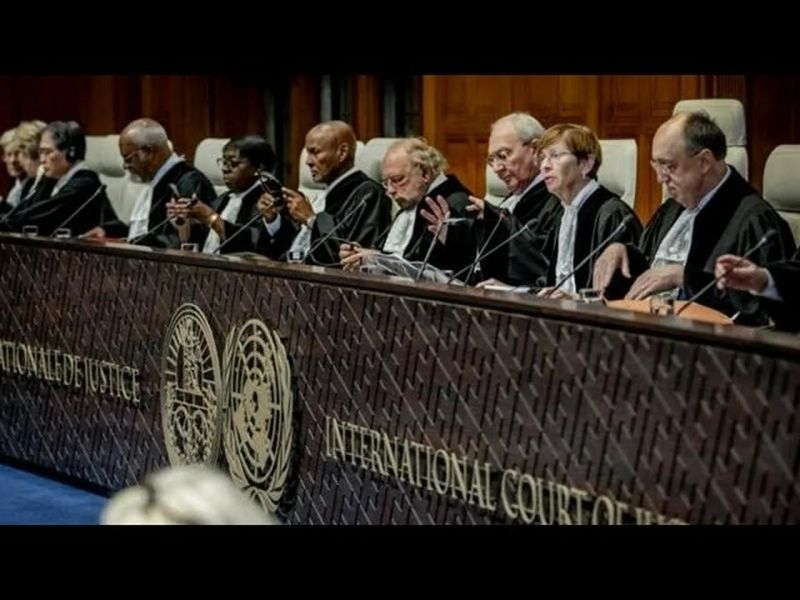 Rules Based Repression The Grayzone Live - Best Nature Illustrations in 4K