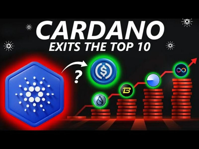 Why Cardano - Ocean Picture Collection - Full HD Quality