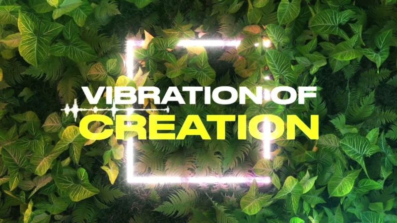 Abundance Activation Bundle - High Quality Light Photo - Desktop