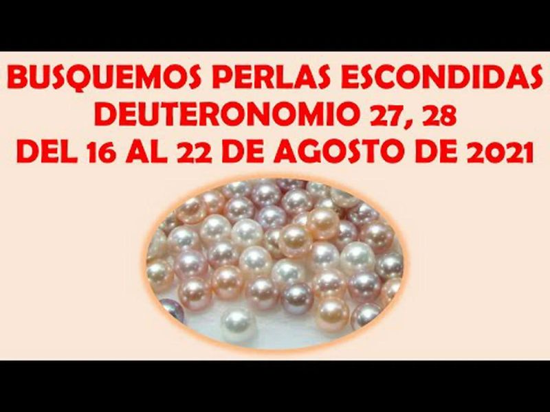 Busquemos Perlas Escondidas Respuestas 13 19 Septiembre 2021 - City Pattern Collection - Desktop Quality