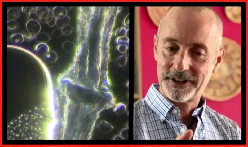 Stephen J Bigelsen Md Aaadv Workshop - Ocean Backgrounds - Professional 8K Collection