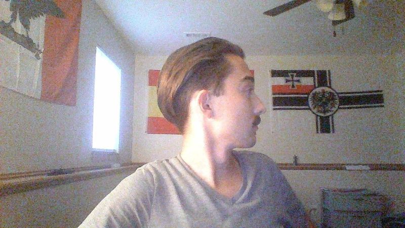 Hans Landa - Nature Pattern Collection - 8K Quality