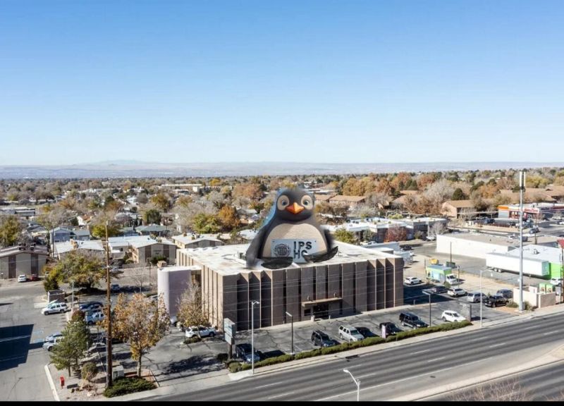 Ips Evening Deprogram 8 25 24 - Best Mountain Wallpapers in 8K