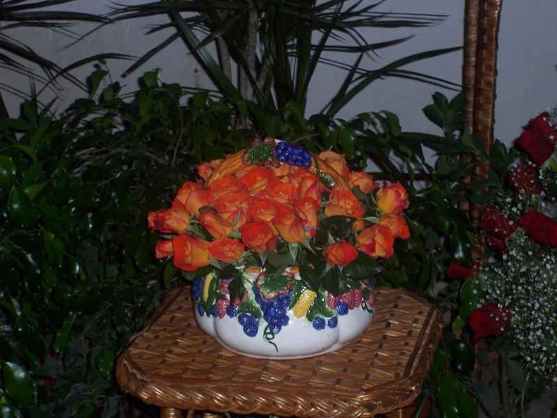 Laura Decor Instagram Linktree - Best Nature Illustrations in Ultra HD