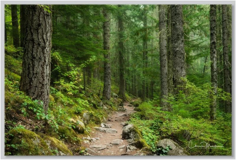 Quality Despair Inc - Download Premium Abstract Photo | Retina