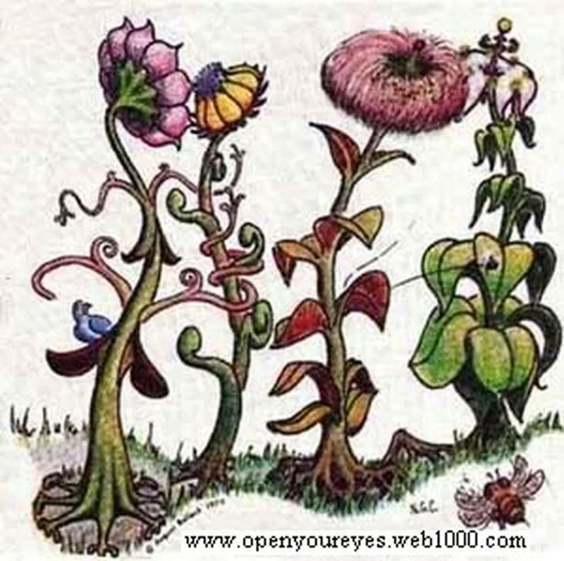 The Dimming Geoengineering Documentary - Gradient Designs - Gorgeous HD Collection