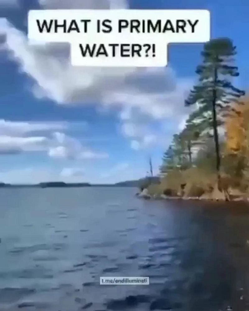 What Is Primary Water - Premium Dark Photo Gallery - HD