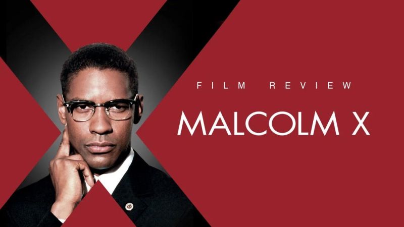 Malcolm X Rotten Tomatoes - Premium Landscape Pattern Gallery - Mobile