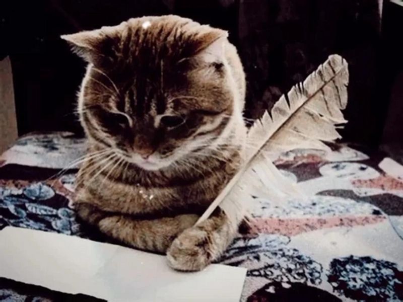 Jonathan Bowden - Premium Space Background Gallery - Retina